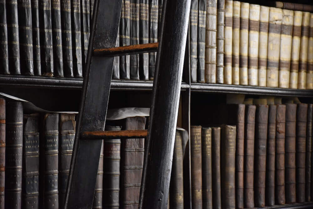 library shelves with books and ladder in front